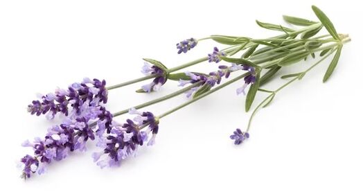 Brand Functionent Dand contains lavender oil