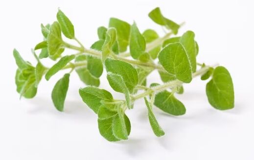 Brand Fungent Dandent contains Oregano Oil